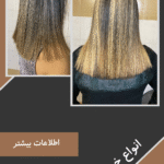 parisa_68c86419ebd39_1757963289_compressed