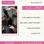 parisa_post_compressed